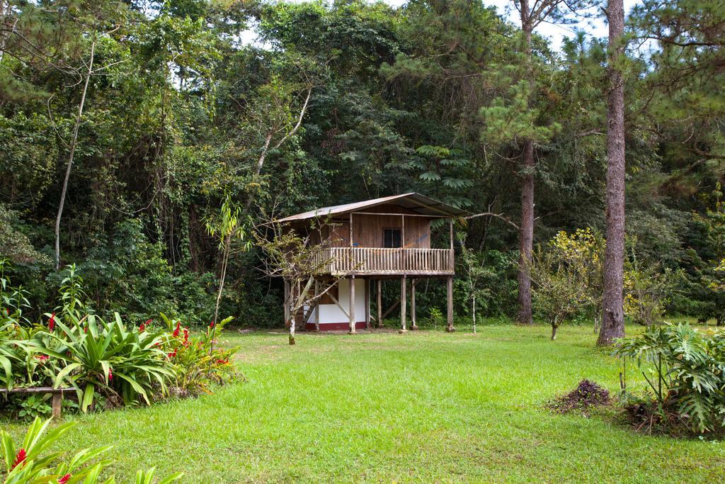 Finca Ixobel Room photo